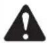 TROY-BILT TBE252 - HOLDING THE UNIT - 3