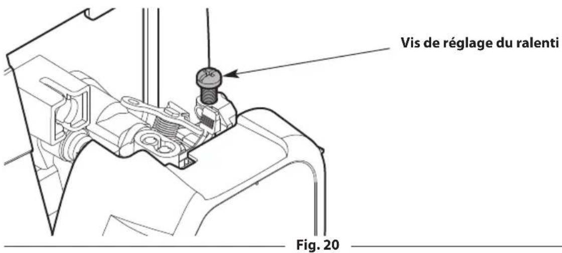 TROY-BILT TB252S - RÉGLAGE DU RALENTI - 2