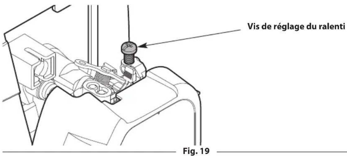 TROY-BILT TB25SB - RÉGLAGE DU RALENTI - 2