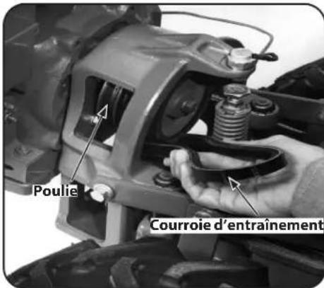 TROY-BILT Big Red - Courroie d'entraînement - 4