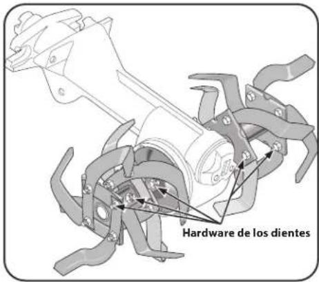 TROY-BILT Big Red - Hardware de los dientes - 1