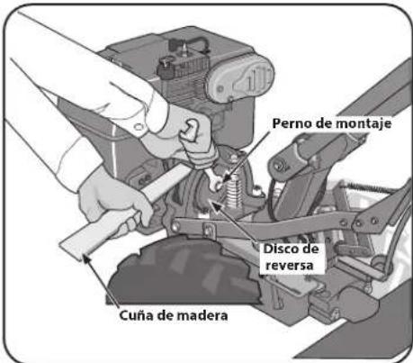 TROY-BILT Big Red - Disco de reversa - 1