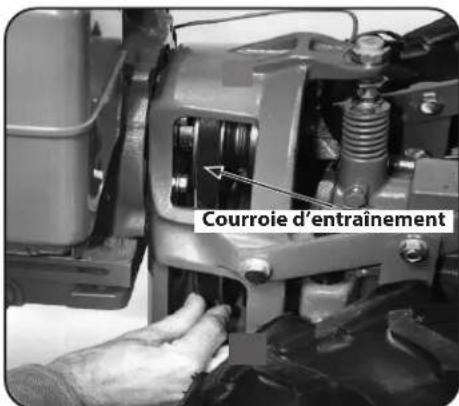 TROY-BILT Big Red - Courroie d'entraînement - 5