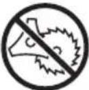 TROY-BILT TB304S - SAFETY & INTERNATIONAL SYMBOLS - 16
