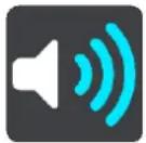 TOMTOM Bridge - Sons et alertes - 1