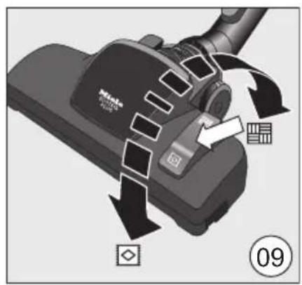 MIELE Blizzard CX1 C&D Flex - United Arab Emirates - 8