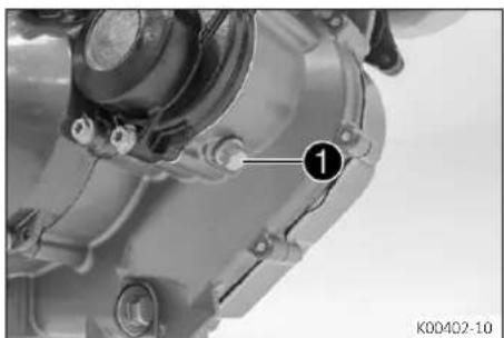 GasGas SM 700 (2022) - Condition - 2