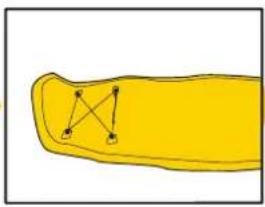 BESTWAY Hydro-Force 65363 - Монтаж SUP доски - 2