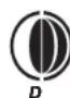 TFA MULTY 35.1134.10 - Maanstand - 4