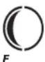 TFA MULTY 35.1134.10 - Fase de la luna - 8