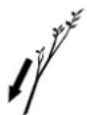 STIHL GHE 375 - Popis symbolov - 8