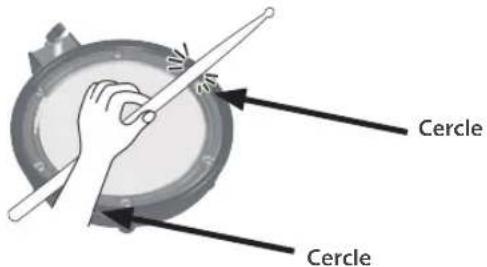 ROLAND V-Drums TD-02 - Talon baisse - 2