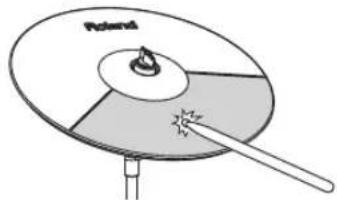 ROLAND V-Drums TD-02 - Frappe sur le corps - 1