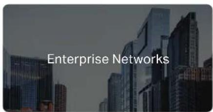 Enterprise Networks