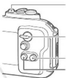 CANON WP-DC37 - Bb6oppeXmAmcbemKuBpeXmme - 1