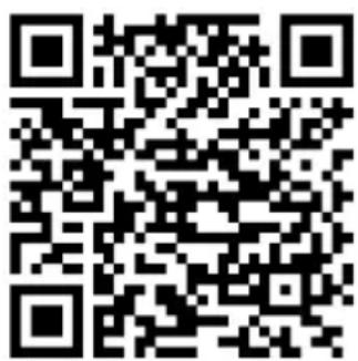 Brandson 304577 - Connect the weather station to the internet - 1
