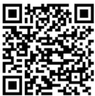 Brandson 304577 - Stazione meteorologica con collegamento a Internet - 1