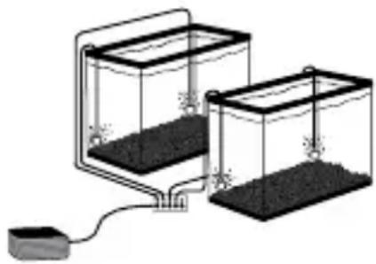 Fluval Q.5 - AJUSTE DO FLUXO DE AR - 2