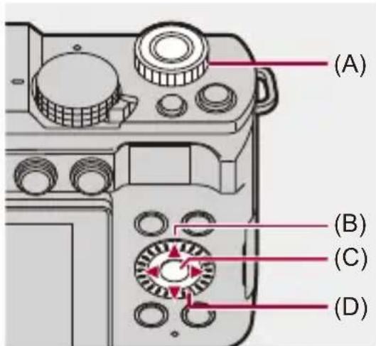 PANASONIC Lumix S9 - Symboles de commande - 1