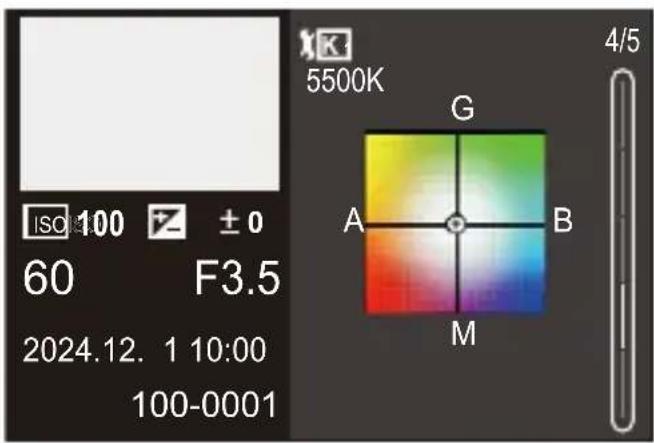 ISO 100 ± 0 60 F3.5 2024.12. 1 10:00 100-0001 5500K G A B M 4/5