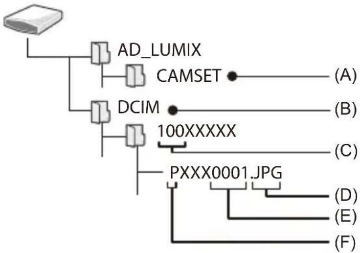 PANASONIC Lumix S9 - Structure des dossiers d'une carte - 1