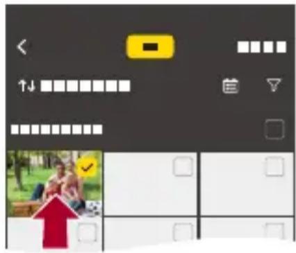 PANASONIC Lumix S9 - Sélectionnez l'image à transférer. - 1