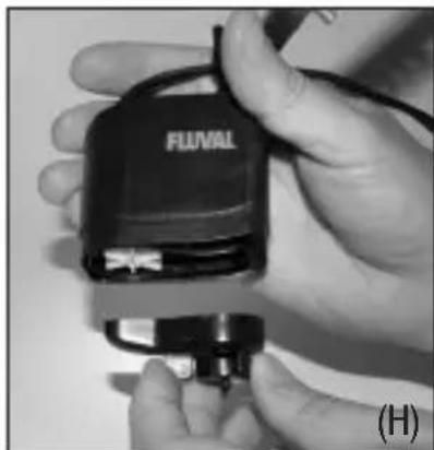 Fluval Nano - Cleaning the Impeller: - 5