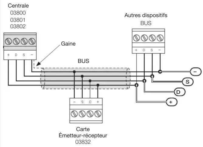 Centrale 03800 03801 03802 Gaine BUS Autres dispositifs BUS - S D + - S D + Carte Émetteur-récepteur 03832