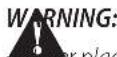 DEWALT DWE7492 - Body and Hand Position - 1