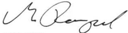 DEWALT DCS778 - Sladdlos kap-/geringssag   DCS778 - 1