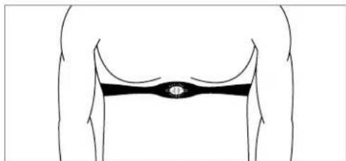 Horizon Fitness EX-44 - CAPEUR-ÉMETTEUR DE PLASTRON SANS FIL (EX-44 UNIQUEMENT) - 2