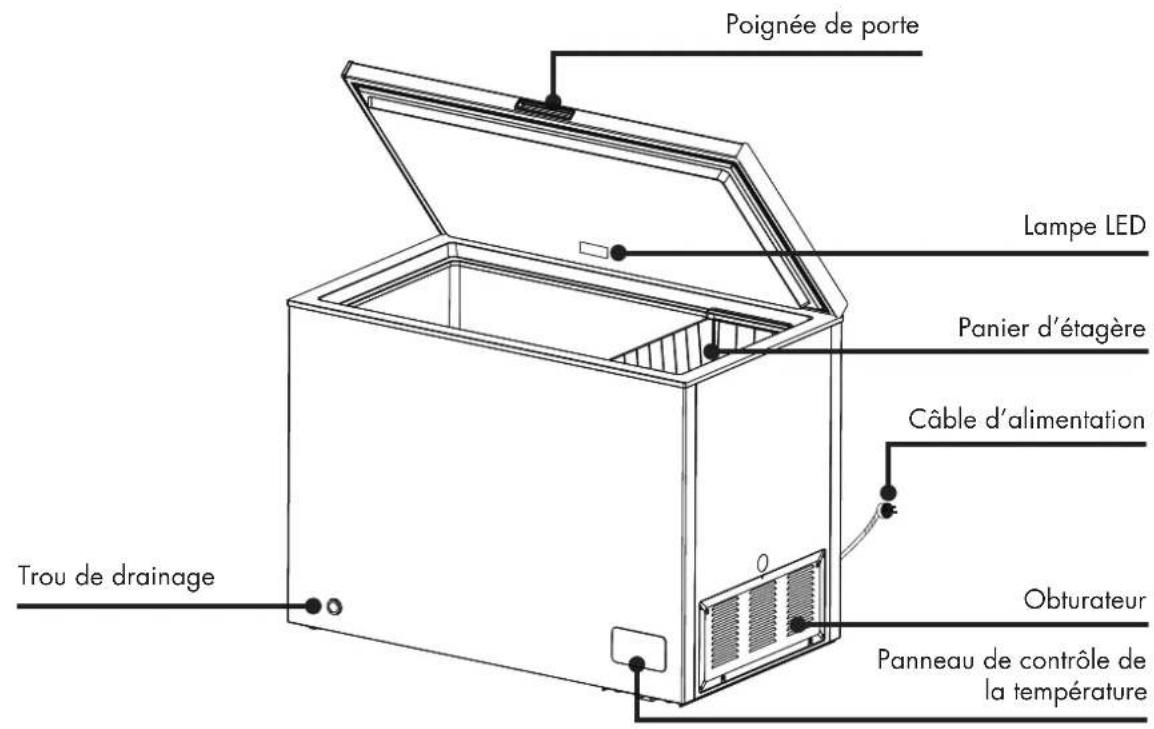 Wisberg WBCF120CW - DIMENSIONS - 1