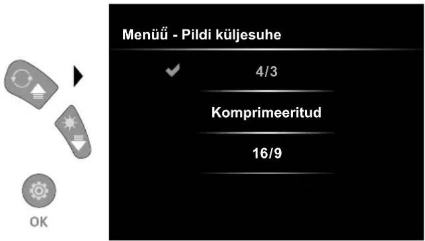 Laserliner VideoInspector 3DX - Seadistusrežiim: Pildi küljesuhe - 1