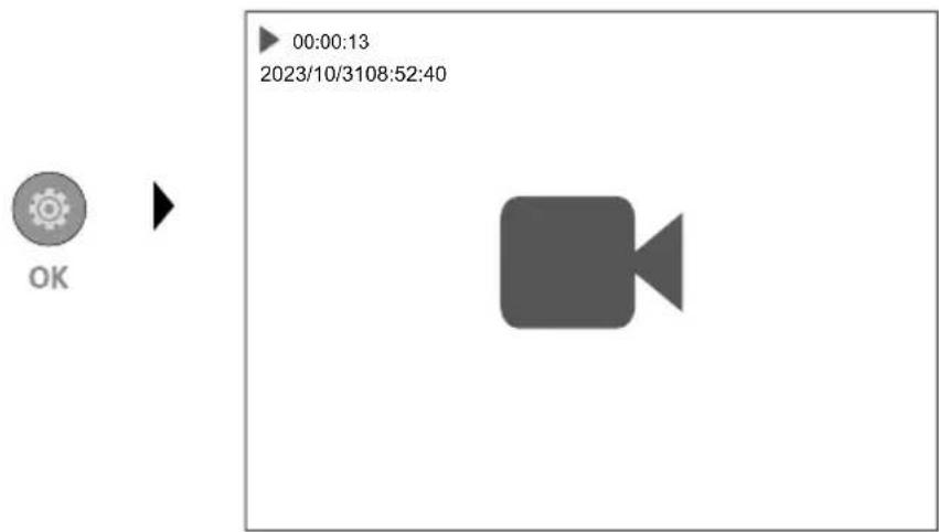 Laserliner VideoInspector 3DX - Modo de reprodução: Reprodução - 1