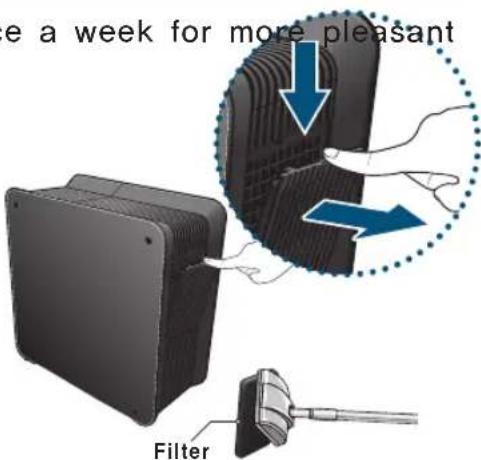 Clean Air Optima CA-803 - ECO-Air Plus Filter - 1