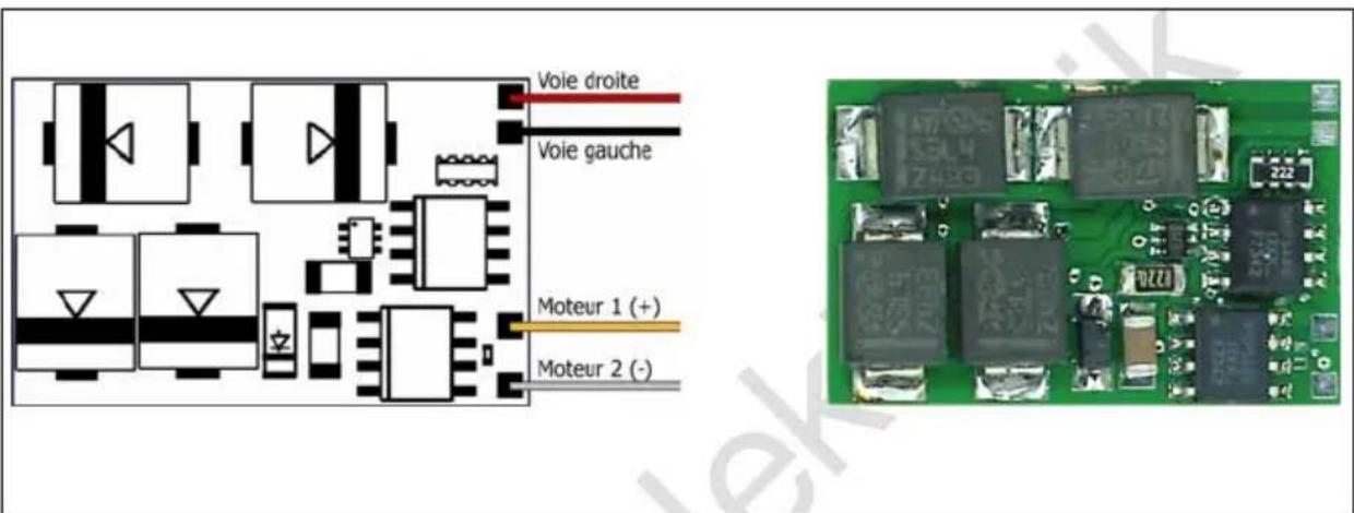 Tams Elektronik LD-G-44 - Affectation des connexions LD-G-44 | Face arrière - 1
