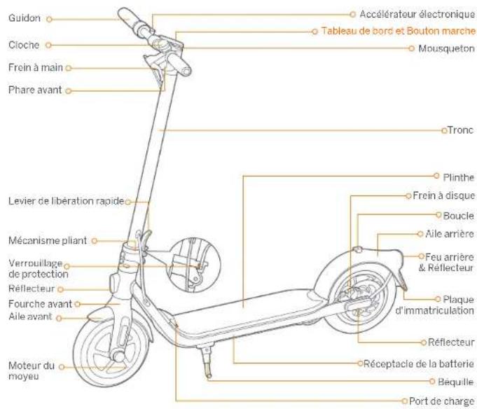 SEGWAY Ninebot KickScooter F20D - CE - 2