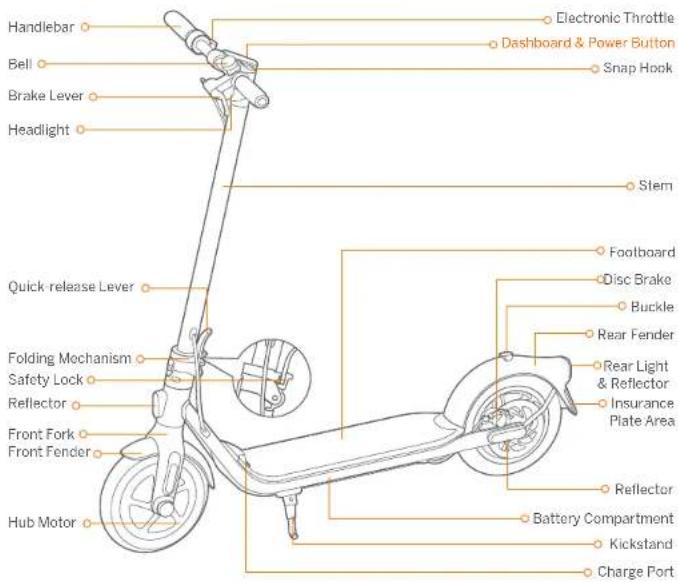 SEGWAY Ninebot KickScooter F20D - Ninebot KickScooter - 3