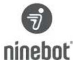 SEGWAY Ninebot KickScooter F20D - Ninebot KickScooter - 1