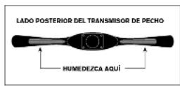 Horizon Fitness e1100GS - RECEPTOR INALÁMBRICO DE RITMO CARDIACO - 1