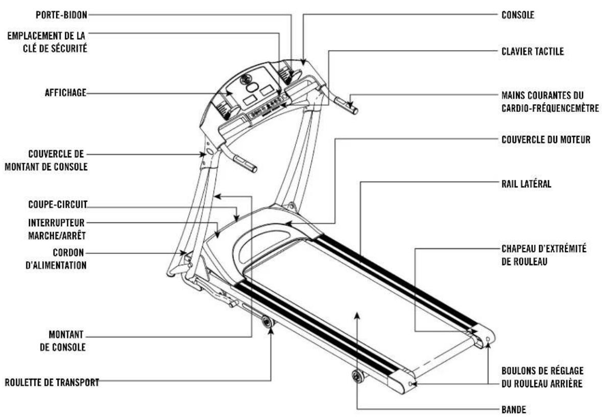 Horizon Fitness Elite 1.2T - ENREGISTREMENT DE LA GARANTIE - 1