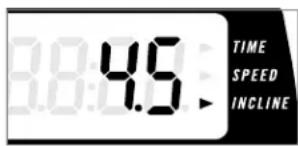 Horizon Fitness Elite 1.2T - CALORIES - 3