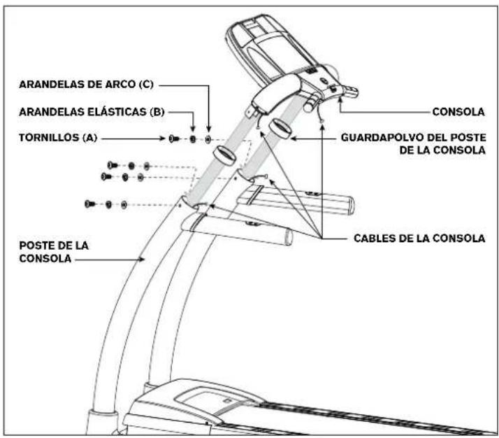 Horizon Fitness CT12.1 - PASO 3 DE ENSAMBLAJE - 4