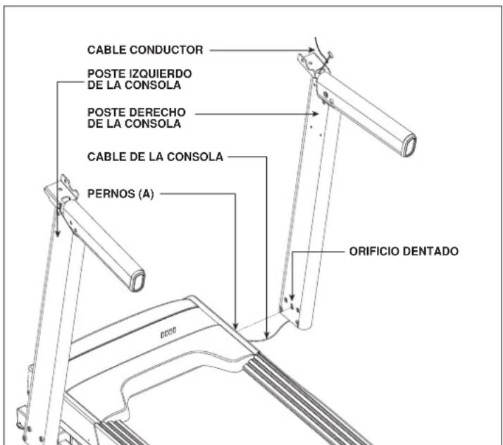 Horizon Fitness CT9.3 - ENSAMBLAJE PASO 2 (continuación) - 2