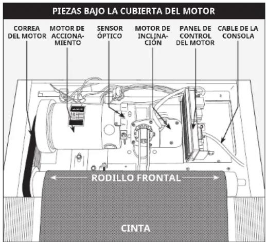 Horizon Fitness CT5.2 - SOLUCIÓN DE PROBLEMAS BÁSICOS - 1