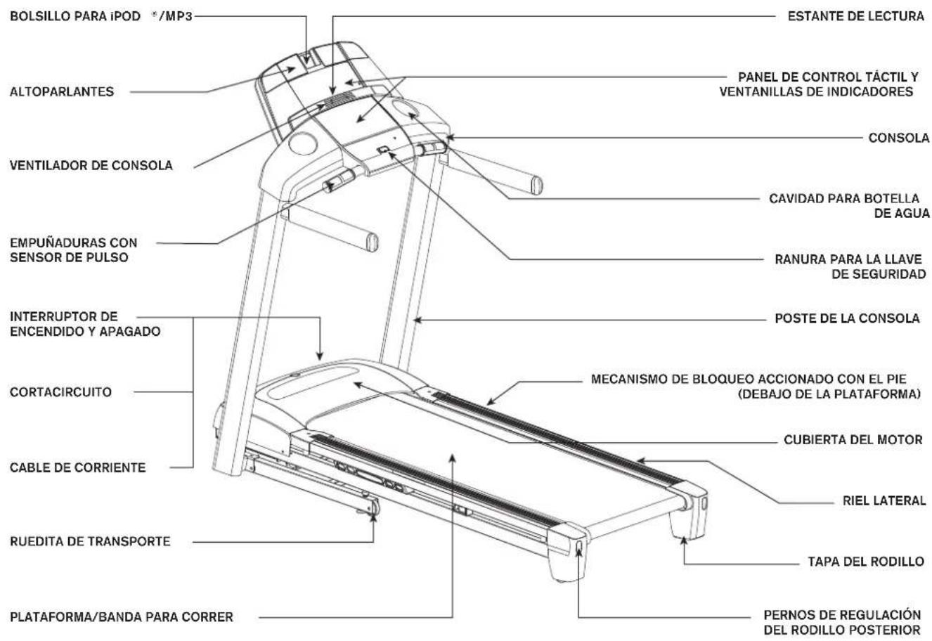 Horizon Fitness T102 - WArninG - 3