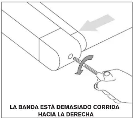 Horizon Fitness GS1050T - PRECAUCIÓN - 1
