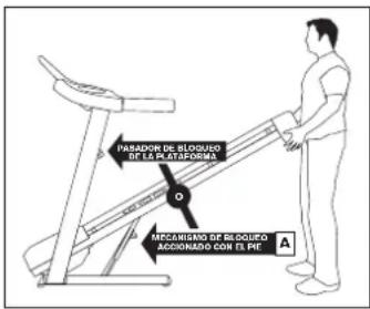 Horizon Fitness GS1050T - USO CORRECTO - 1
