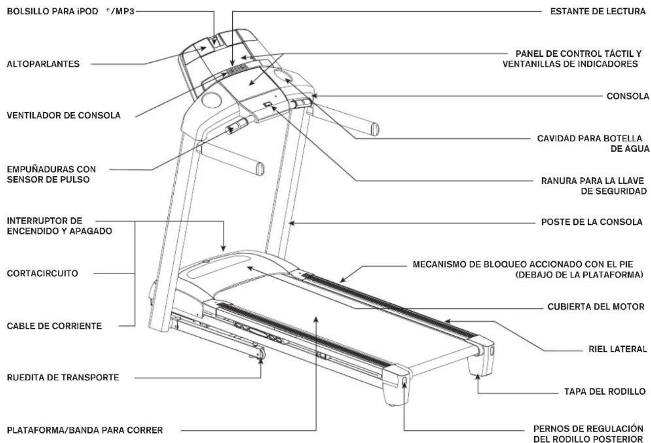 Horizon Fitness GS950T - WArninG - 3