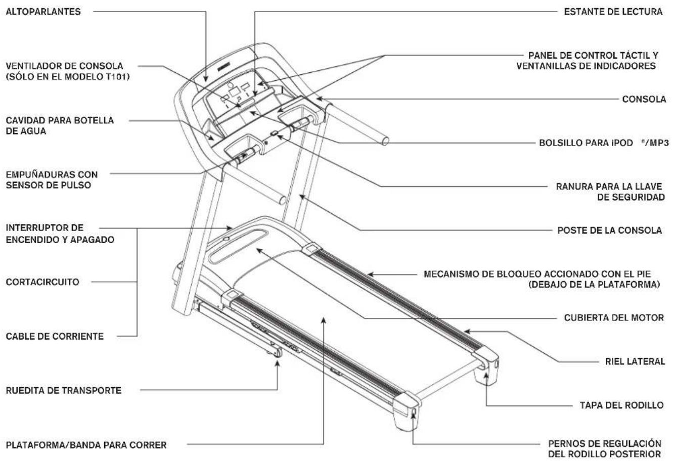 Horizon Fitness GS950T - WArninG - 2